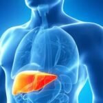 Best Liver Health Support for Hepatitis