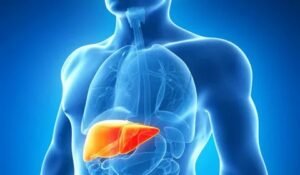 Best Liver Health Support for Hepatitis
