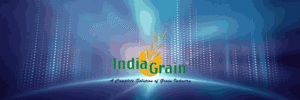 IndiaGrain – Color Sorter Machine