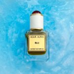What Is the Vivace Olfactory Concept?