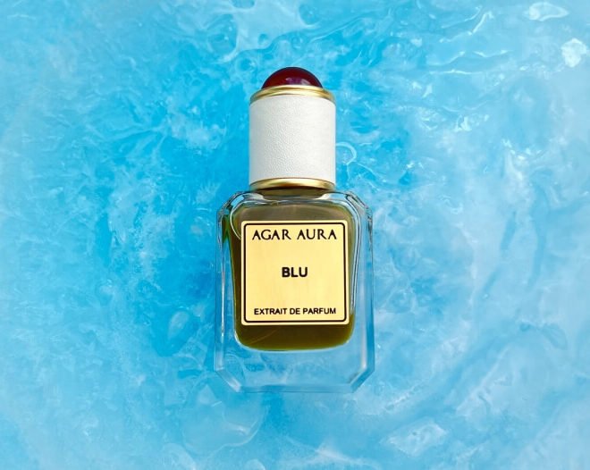 What Is the Vivace Olfactory Concept?