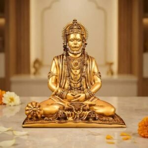 Hanuman Idol at Home: A Symbol of Strength, Protection, and Devotion