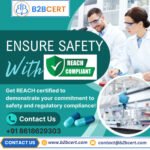 How to Achieve REACH Certification Services in Chicago