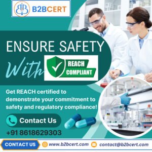 How to Achieve REACH Certification Services in Chicago