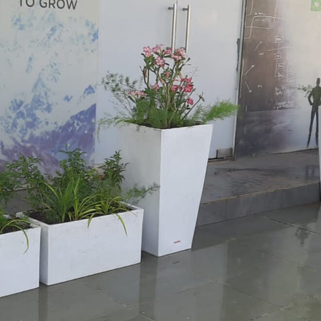 Tall Planters Manufacturer in India: Enhancing Modern Spaces with Elegant Planter Designs