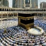 تجربة سفر آمنة مع باصات نقل من مكة للمدينة