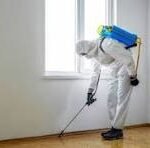 Mosquito Control NYC: Effective Ways to Protect Your Staten Island Yard