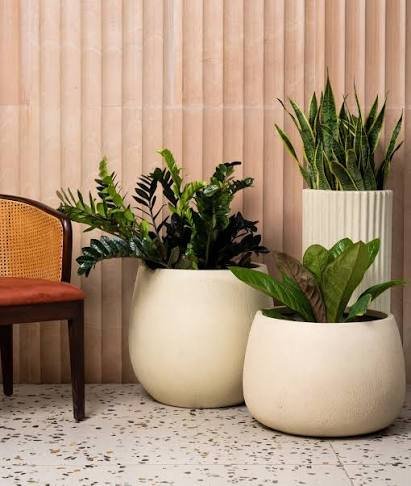 FRP Planter Manufacturers: Premium FRP Planters for Commercial and Residential Spaces