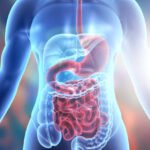 Digestive Remedies in the UAE Reflect Changing Consumer Healthcare Needs