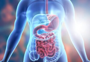 Digestive Remedies in the UAE Reflect Changing Consumer Healthcare Needs