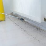 Pest Control SEO Services in Houston: A Complete Guide to Growing Local Leads