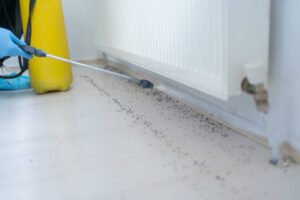 Pest Control SEO Services in Houston: A Complete Guide to Growing Local Leads