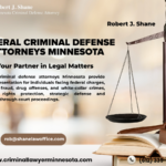 Minneapolis Criminal Attorney | Professional Legal Assistance For Your Case