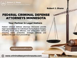 Minneapolis Criminal Attorney | Professional Legal Assistance For Your Case