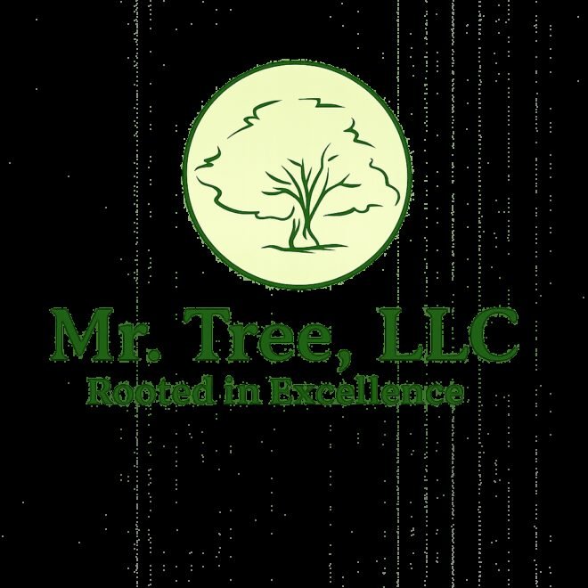 Tree removal Bel Air MD