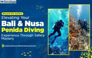 Beyond the Surface: Elevating Your Bali & Nusa Penida Diving Experience Through Safety Mastery