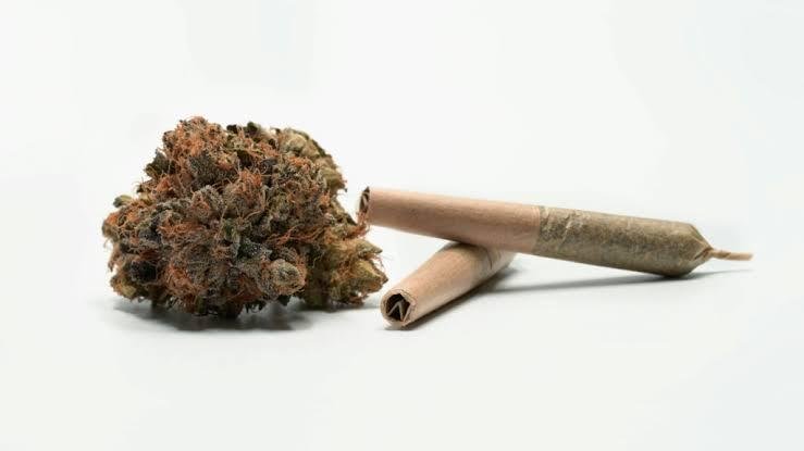Buy Weed Online: Essential Tips for Informed Consumer Decisions