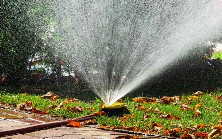 Transformed Landscaping Co.: Landscape Installation in Austin for Beautiful Outdoor Transformations