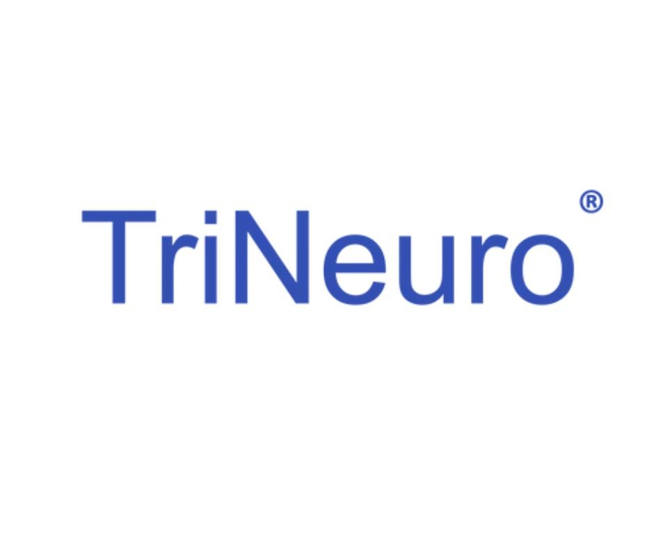 5 Memory Support Supplements to Help Support Brain Health and Focus